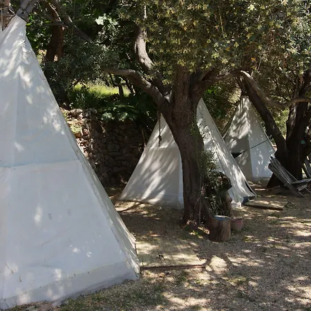 Shiva Camp 3*