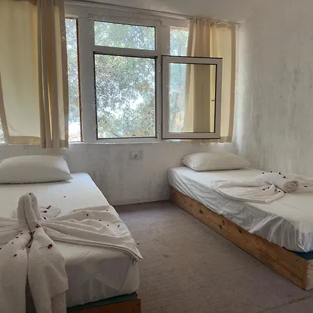 Shiva Camp אתר קמפינג 3*
