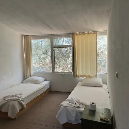 Shiva Camp אתר קמפינג פאראליה