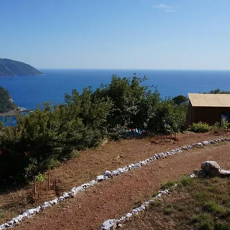 Shiva Camp 3* 파랄리아