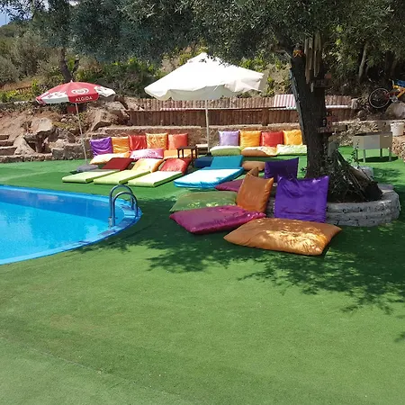 Shiva Camp פאראליה