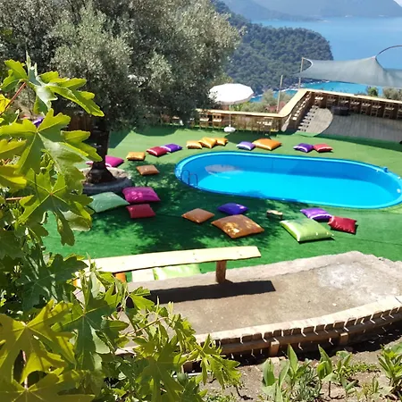 אתר קמפינג Shiva Camp